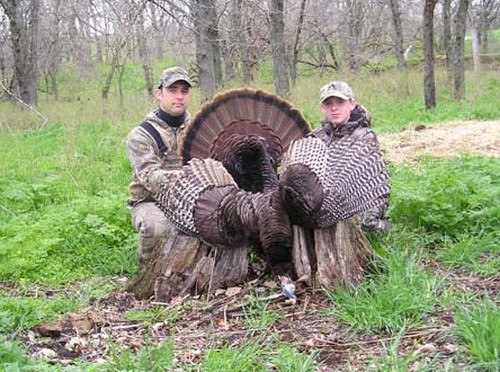 Turkey Hunts Photo